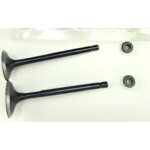 Engine Valve Kit For TVS Apache RTR 160 2V